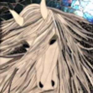 Meet your Posher, Christal